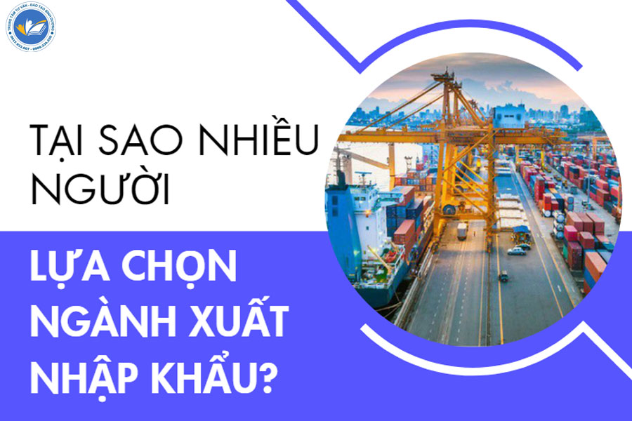 Tại sao nhiều người đang lựa chọn ngành xuất nhập khẩu